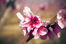 Photo By Vignesh Sathiamoorthy